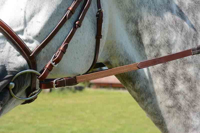 Enrênement aide à la longe pour cheval ou poney, Normandie Horse  Shop