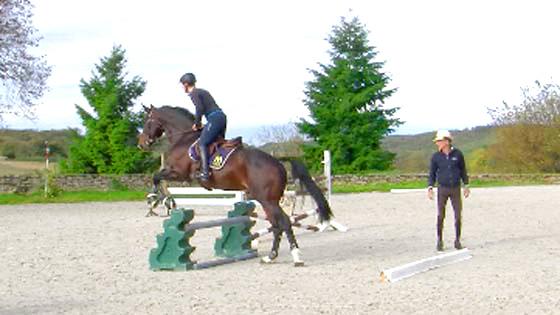 Trouver L’attitude Juste Et Obtenir L’adhésion Du Cheval Dans Le ...